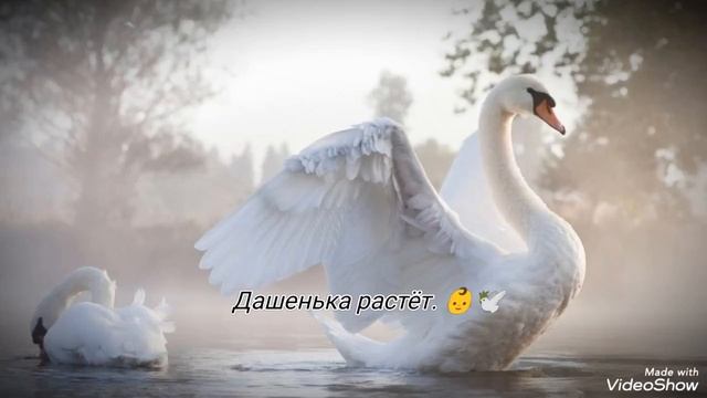 Племяша..