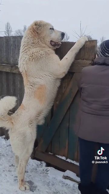 1000099159.mp4