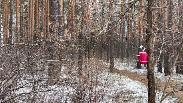 УЮТНЫЕ ДНИ конца осени: выставки, книги, прогулки, кафе