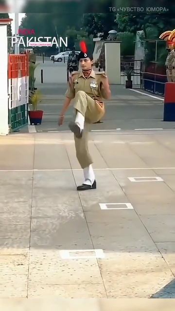 Страшно представить их спецназ.