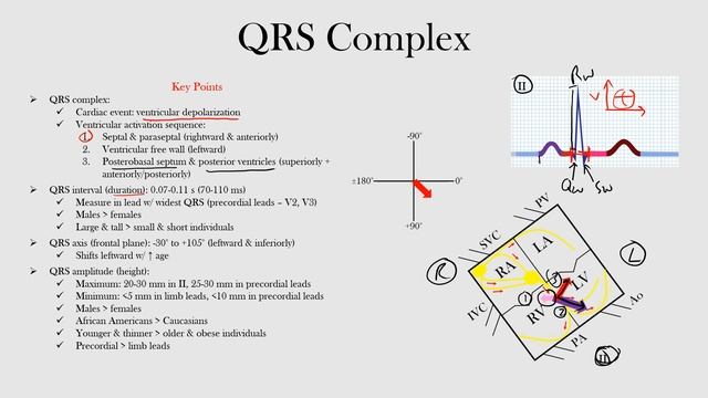 18.QRS Complex