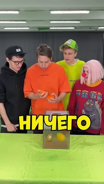 BRUNO (БРУНО) - Кто получит золотое яйцо﫢 Ч1