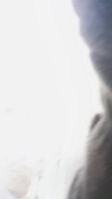 кото-киборг