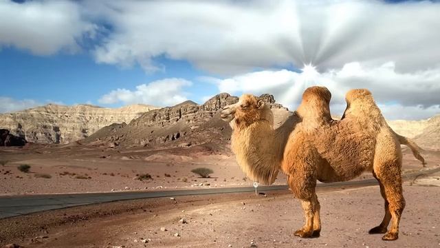 Аудиокнига Мария Метлицкая  _Под небом голубым_ Часть 2 заключительная Читает Марина Багинская