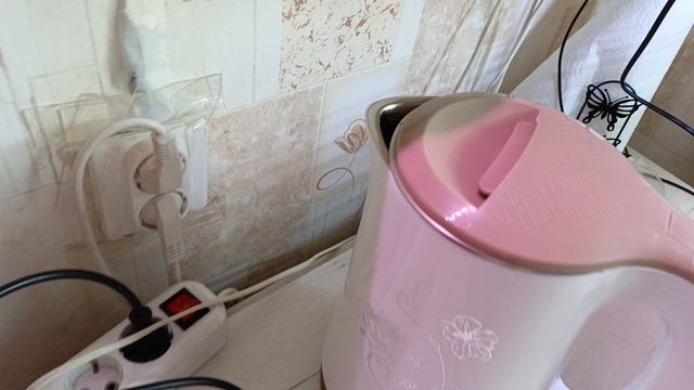 мой  сегодняшний день с цветами и котами ☺🌹🐱