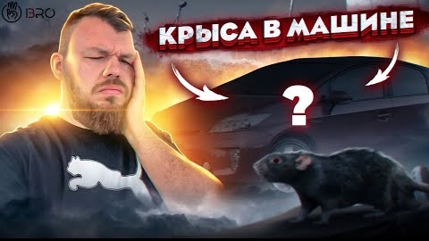 Мы Купили БИО Зараженную Машину С Аукциона @3BRO