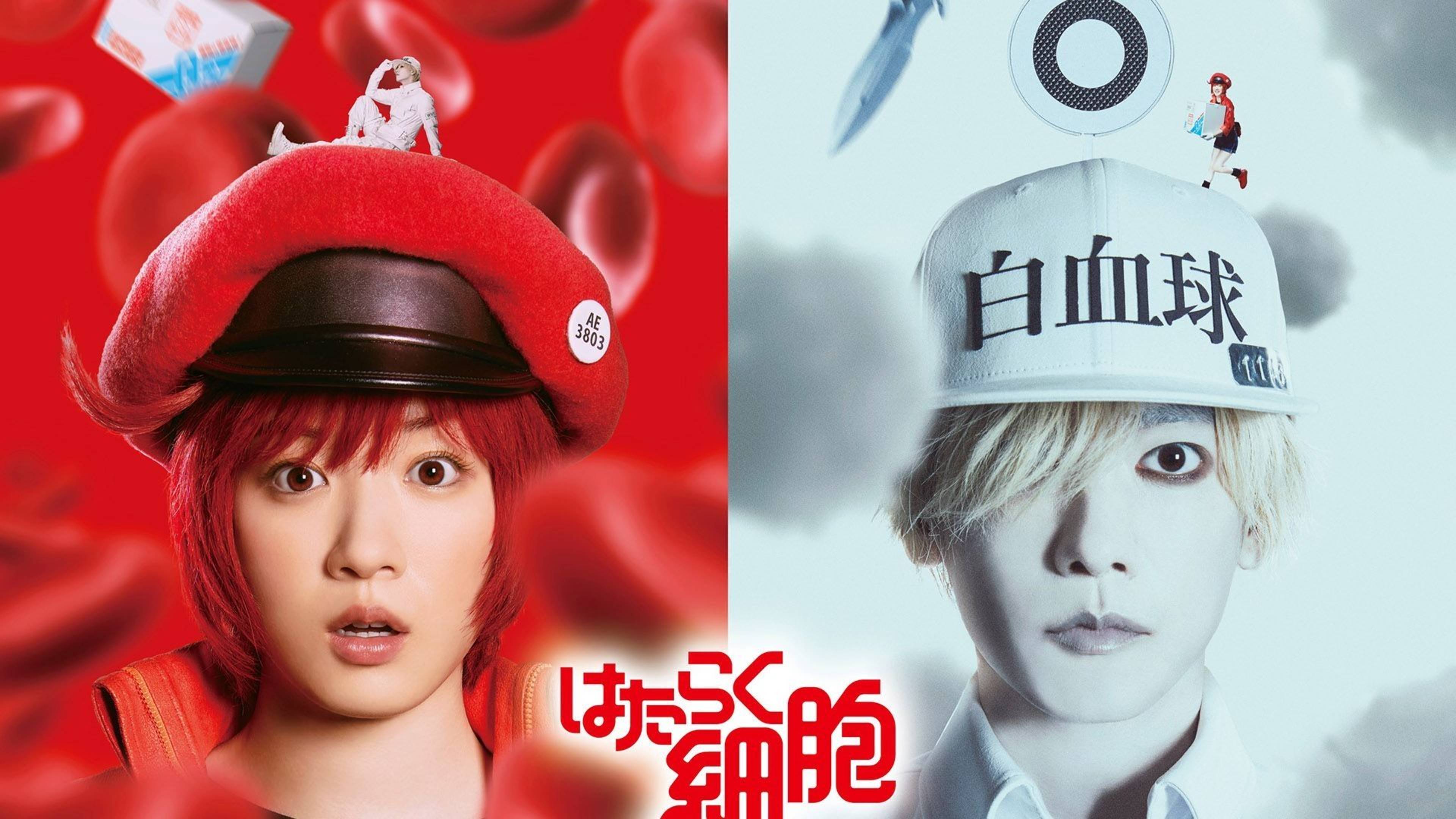 Клетки за работой (2024) / Hataraku saibou / Cells at Work