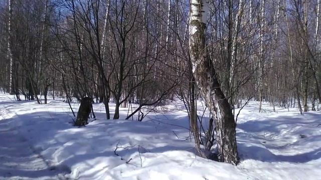 Весна идет. 2024. Московская область