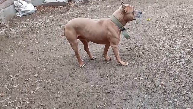 #ЖитиёМоё .. И ВЯЖУ КАК КОЛХОЗ, И ЖИВУ В КОЛХОЗЕ, И ВЫГЛЯЖУ КАК КОЛХОЗИ ВАЛЮТУ НЕ МЕНЯЮТ!!!