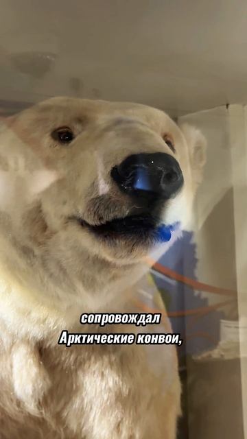 Ледокол Красин