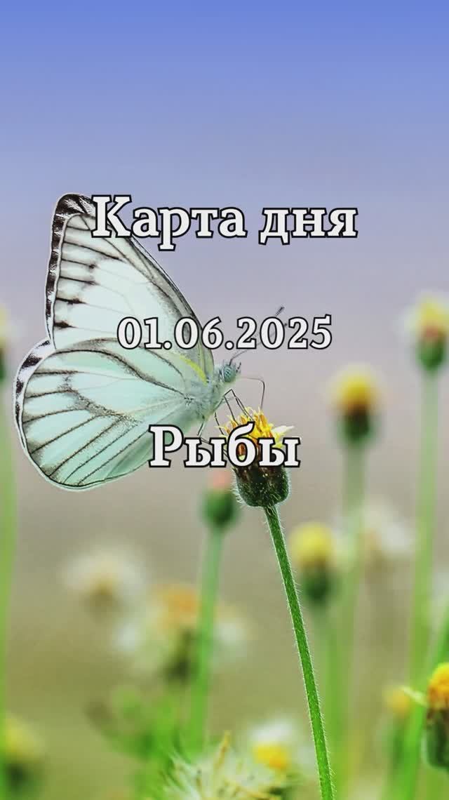 ✨Карта дня 01.06.2025✨ Рыбы
