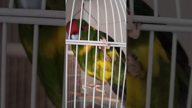 VID_20250528_121551.mp4