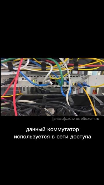 Коммутатор доступа MES2308R Eltex. Видео[Охота] на eltexcm.ru
