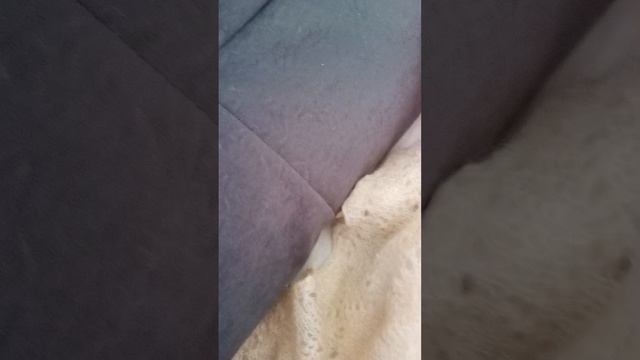 1000028286.mp4