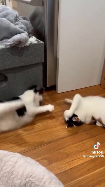 1000098720.mp4