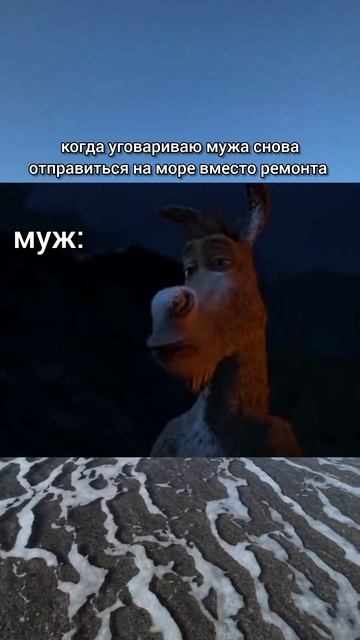 план к действию!