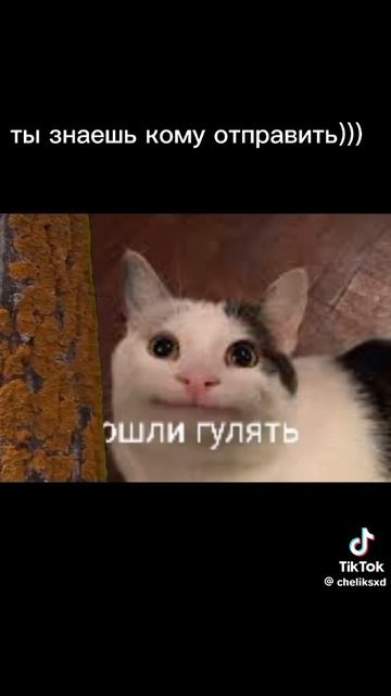 всем привет