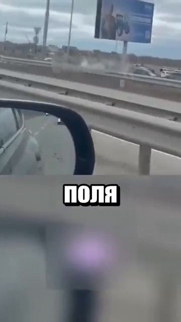 i11ushenka (103)
