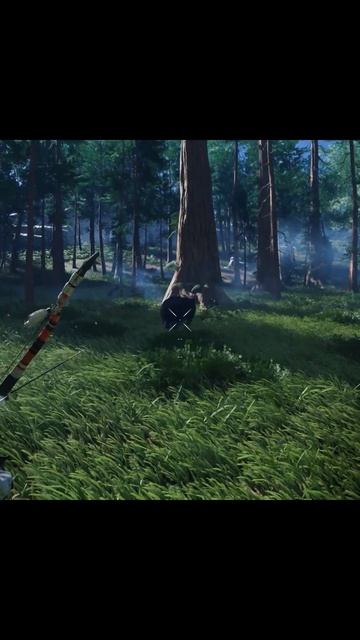 Первая встреча с медведем /Ghost of Tsushima #shorts #gaming #ghostoftsushima #игры