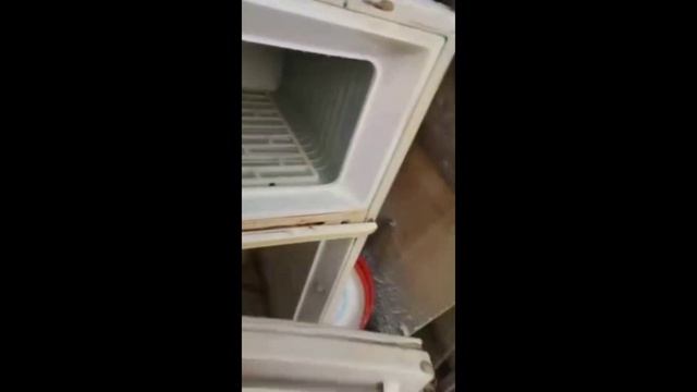 С Добрым майским утром 🤭 #shorts