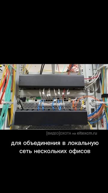 Коммутатор доступа MES2324B Eltex. Видео[Охота] на eltexcm.ru