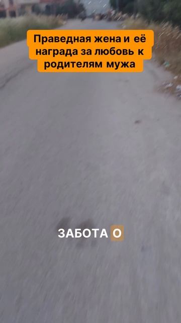 Праведная жена и её награда за любовь к родителям мужа