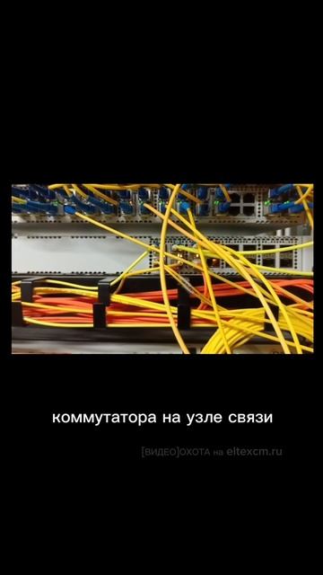 Коммутатор ЦОД MES5316A Eltex. Видео[Охота] на eltexcm.ru