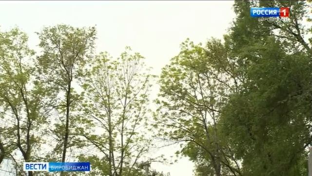 Сотрудники МЧС прогнозируют дождливый и холодный июнь в ЕАО