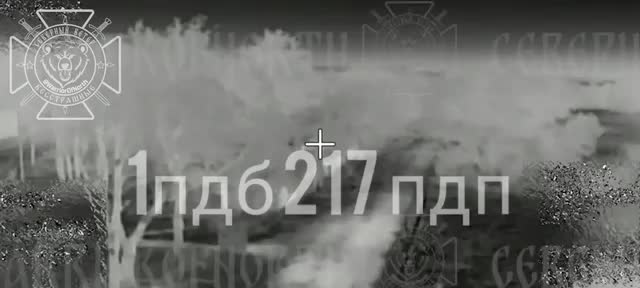 Бои в Сумской области: десантники уничтожили канадскую ББМ. Канадская бронемашина ВСУ "Рошел Сена...