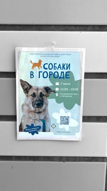 Они повсюду...«Собаки в городе» уже совсем скоро!💥