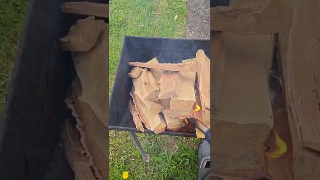 VID-20250525-WA0017