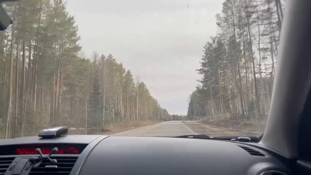 Едем на дачу на машине!