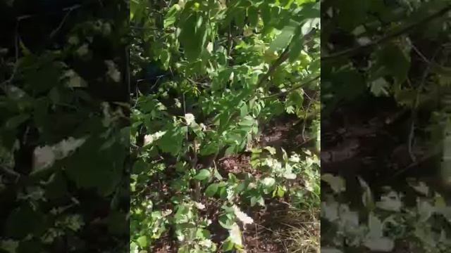 Едем в Выборг часть 2