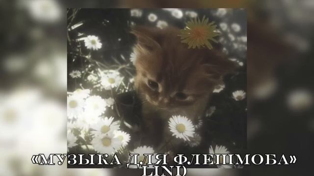 //музыка для флешмоба//звуки из тт//всех с весной)//
