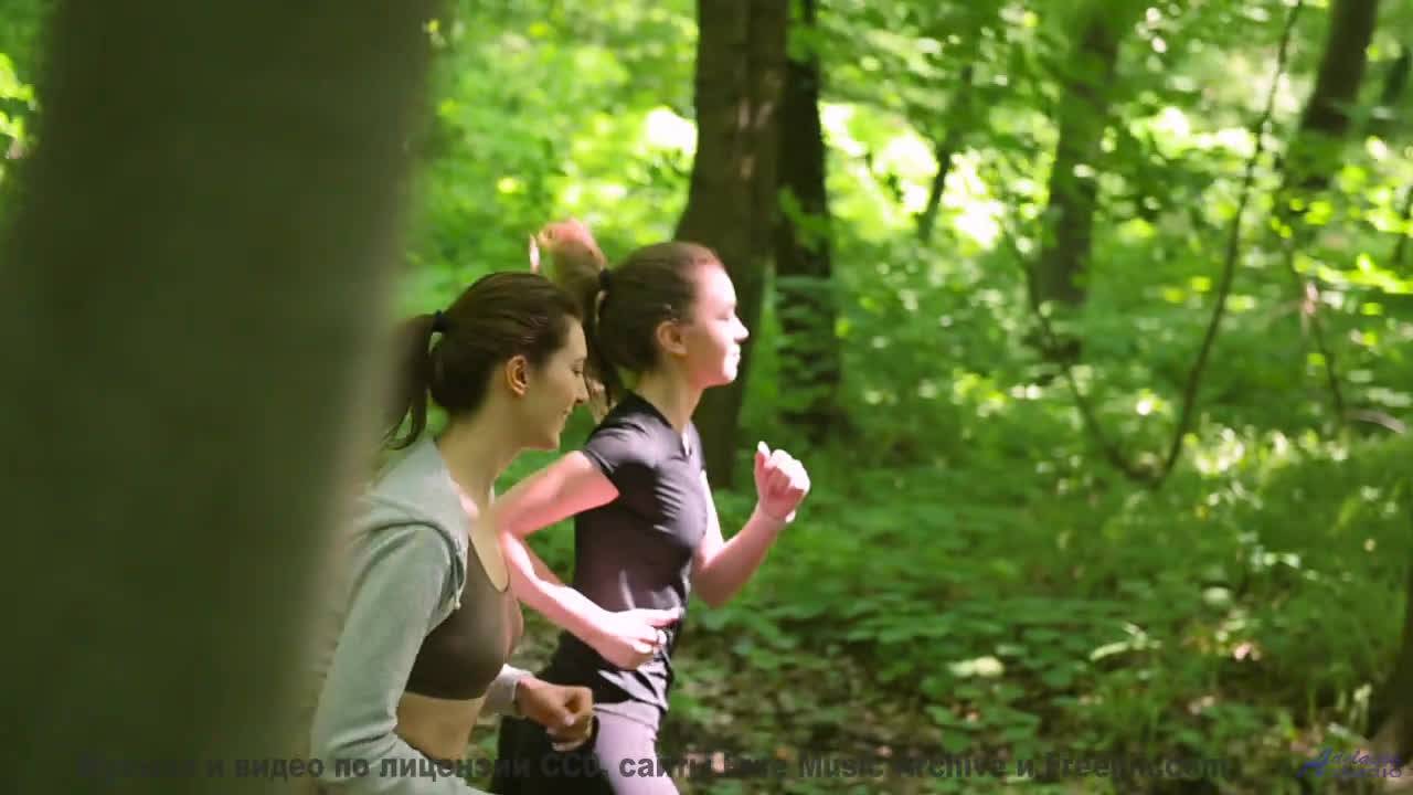 Музыка гладит пейзажи так, как хочется душе - Moods -- Shaolin Dub -- The Great Divide