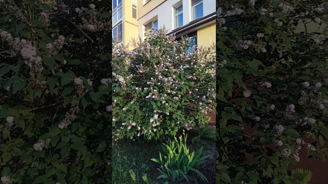 Красивые Виды Моего Города #красотаНН