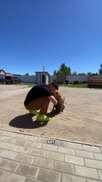 Было-стало😎