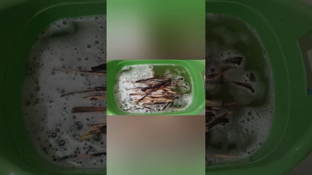 Video.Guru_20250528_184732601.mp4