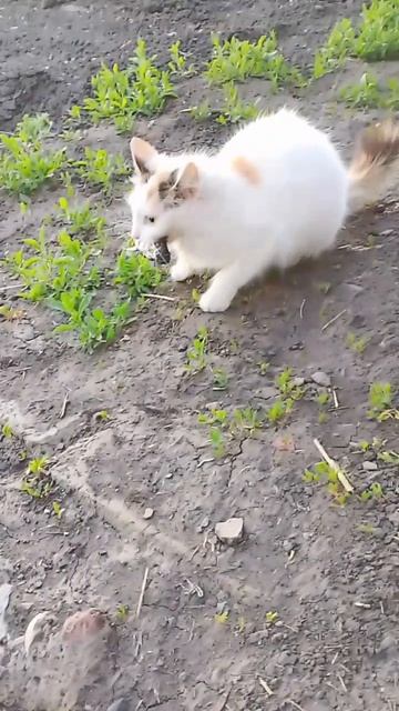 Рыбалка -это отличный выбор провести время с детьми.