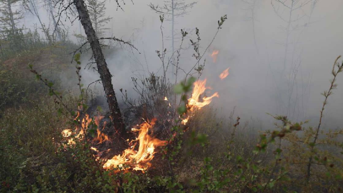 Жителей поселка в Бурятии эвакуировали из-за лесного пожара