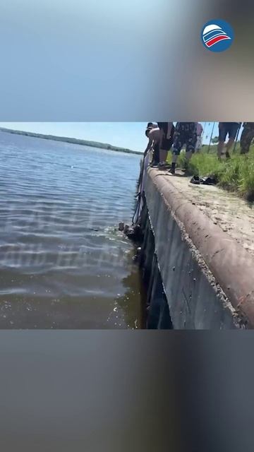 Малыш на волосок от гибели: коляска с ребенком укатилась и упала в реку в Татарстане