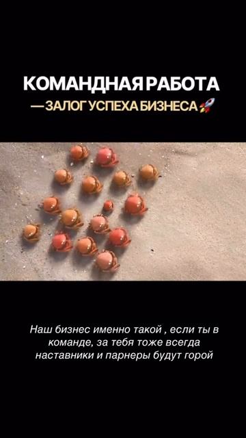 VID-20250528-WA0118.mp4