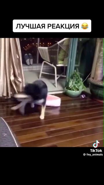 1000099141.mp4