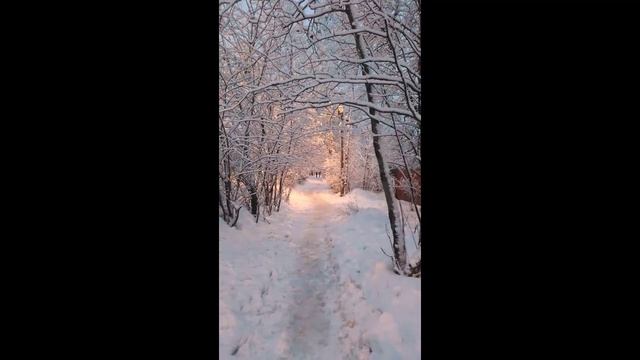 Снегопад. Настроение:)... 07.01.2024. Подмосковье