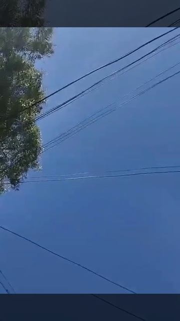 Не надо снимать змей на телефон.