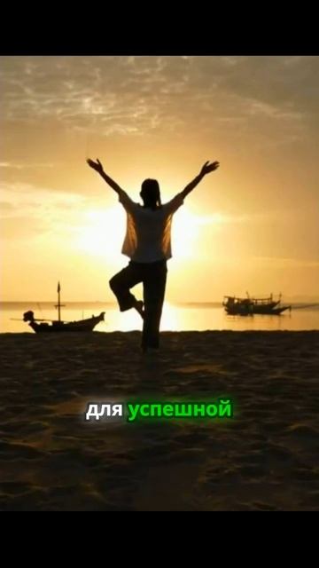 Стоицизм и хладнокровие — ключ к успешной жизни