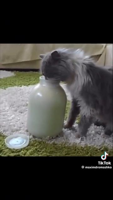 1000098726.mp4
