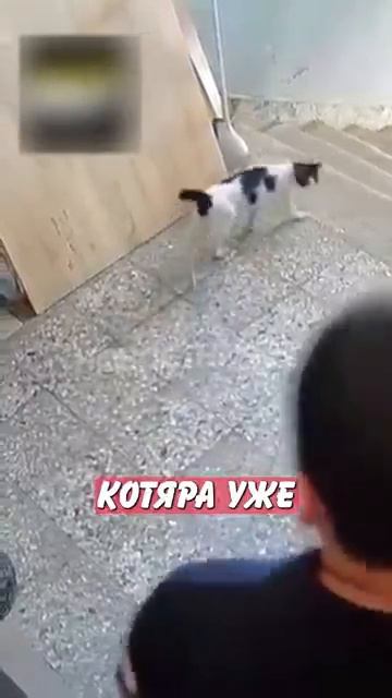 Новостничок (104)