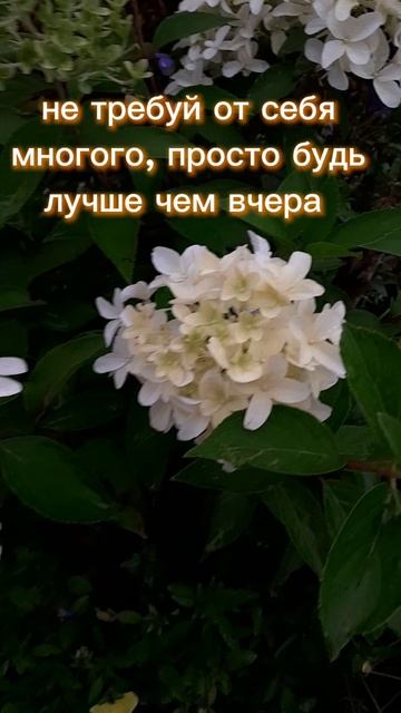 Мотивация. Вера в себя