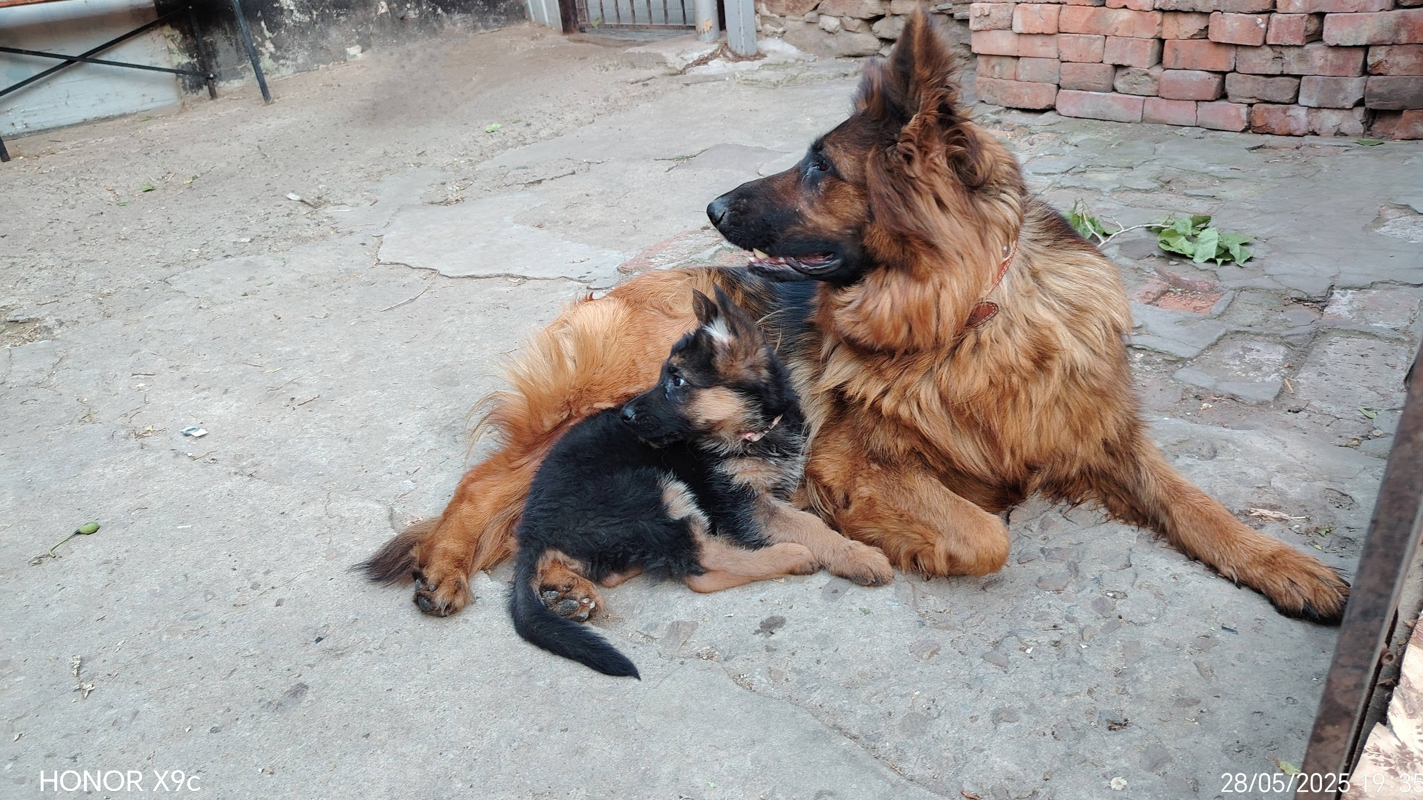 Осталась одна девочка